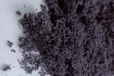 微信图片_20250711194239-rotated-e1752299839926 Home