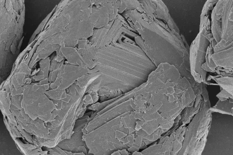 微信图片_20250712154046-e1752299593259 Home